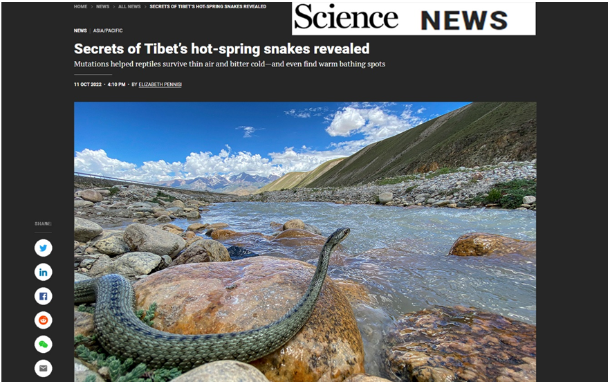 微信截图_20230419113947 - 副本