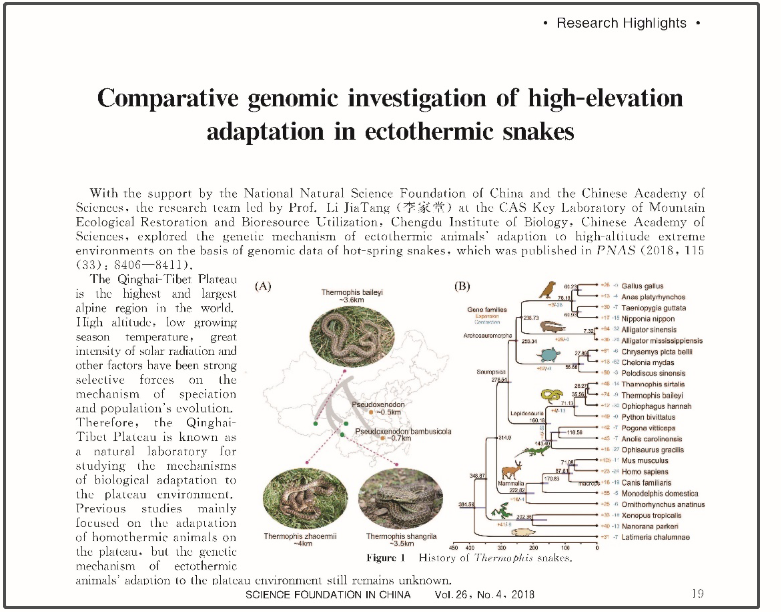微信截图_20230419114224 - 副本