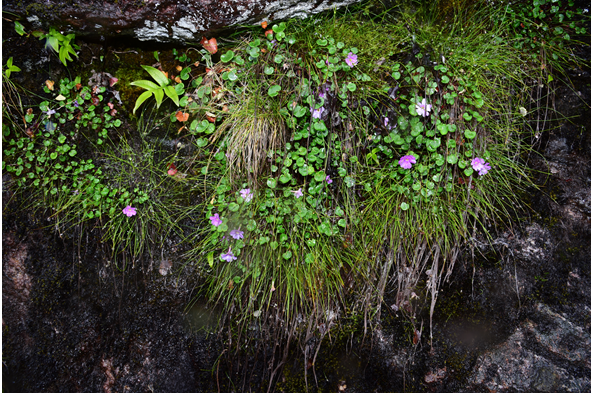 微信截图_20230906143743