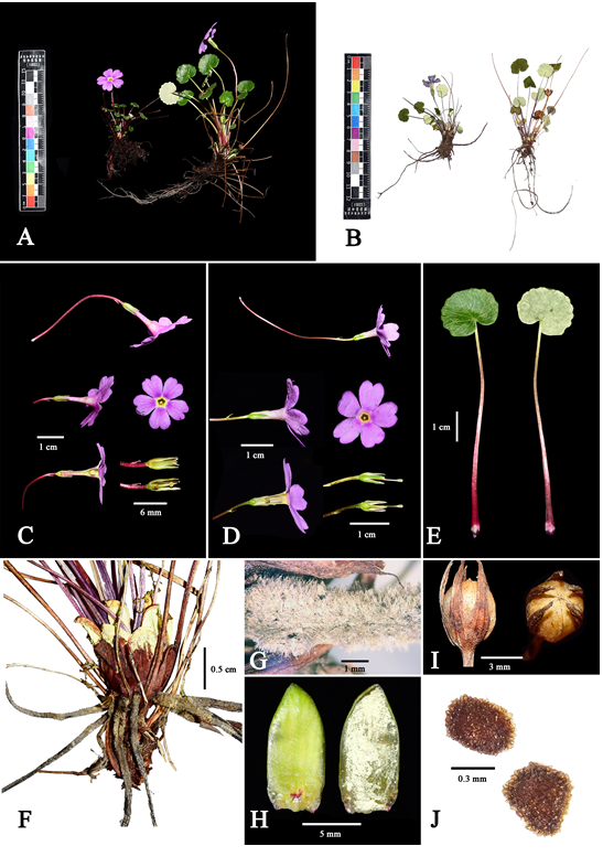 微信截图_20230906143755