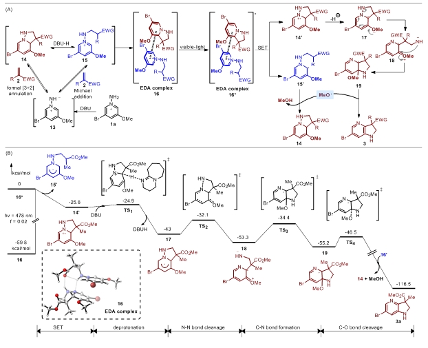 微信截图_20240117142105