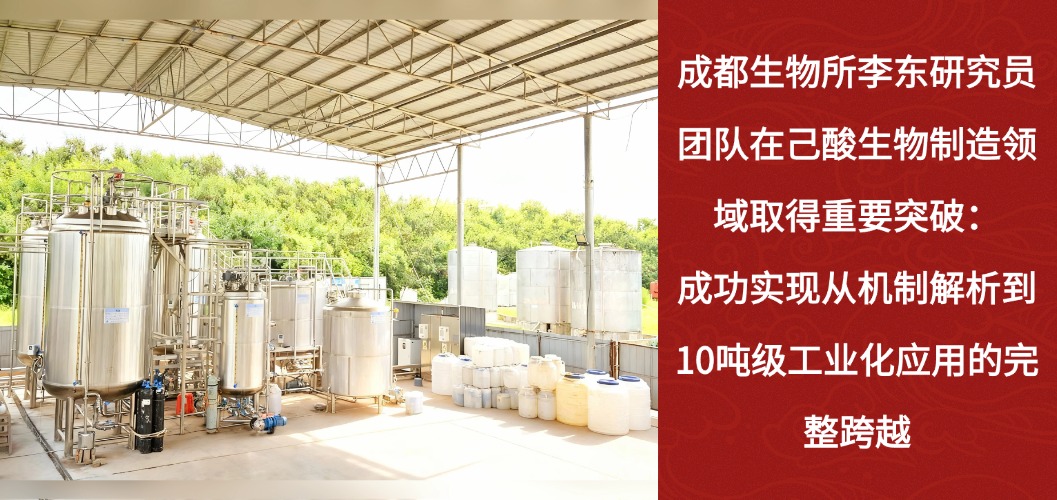 成都生物所李东团队在己酸生物制造领域取得重要突破：成功实现从机制解析到10吨级工业化应用的完整跨越