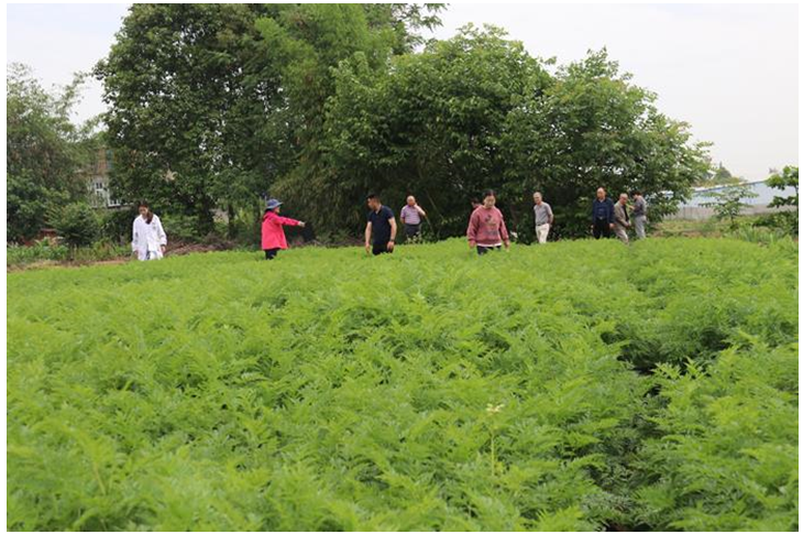 微信截图_20230519111813