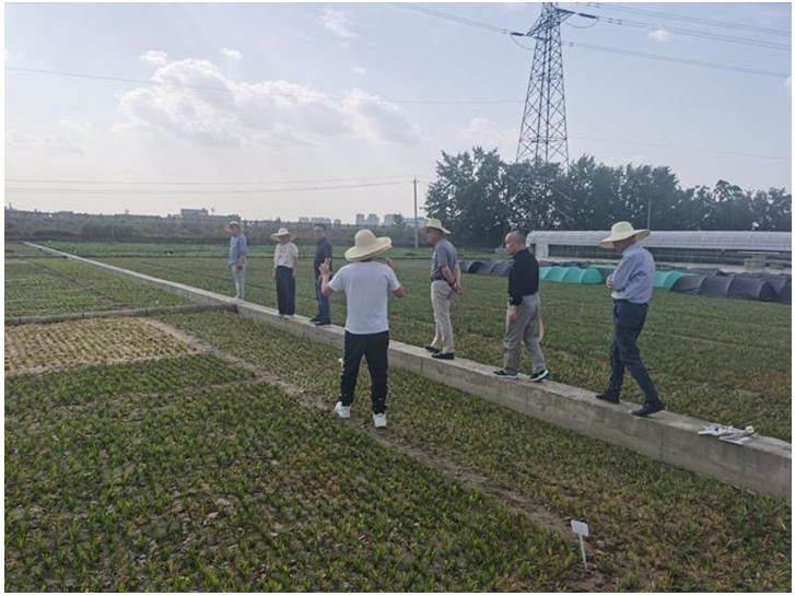 微信截图_20230519111822